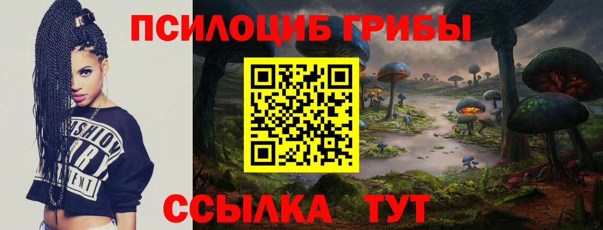 Нальчик  Галлюциногенные грибы прущие грибы  Галлюциногенные грибы GOLDEN TEACHER  Вход с VPN 